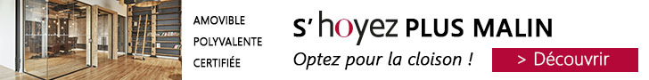 Hoyez PartitionSystems