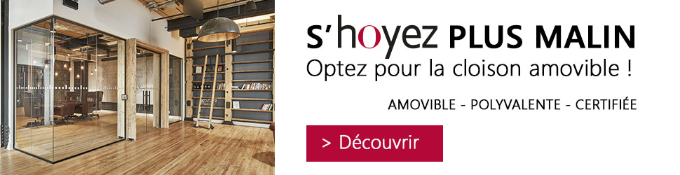 Hoyez PartitionSystems