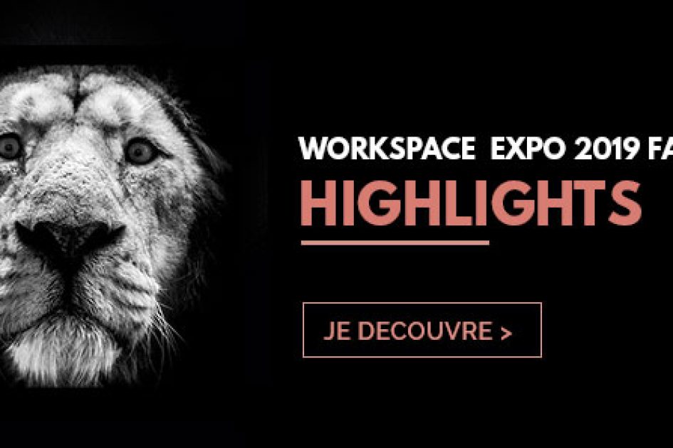 workspace expo 2019